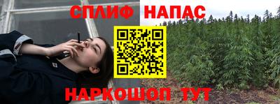 бошки Сланцы