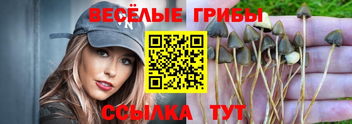 Псилоцибиновые грибы Magic Shrooms Полевской